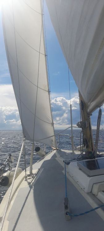 Палуба и паруса